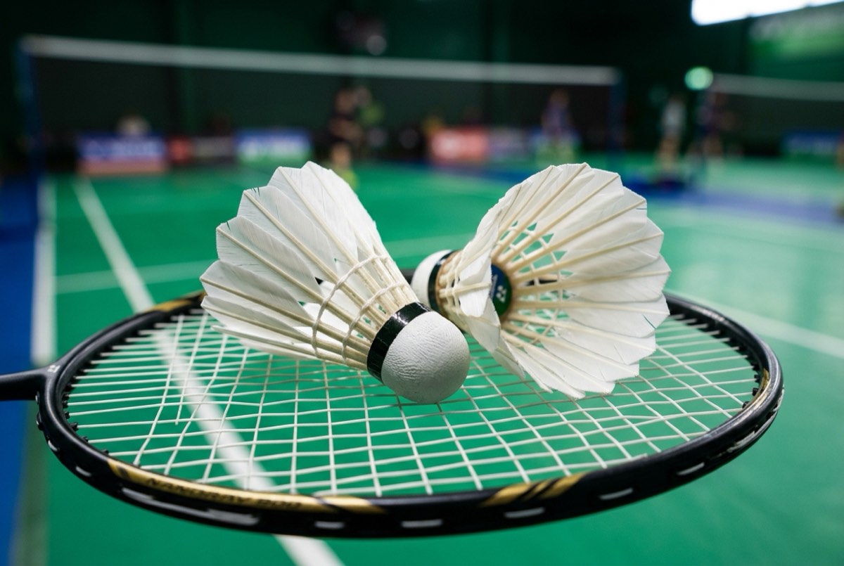 Two feather shuttlecocks resting on a racket with indoor court bokeh background