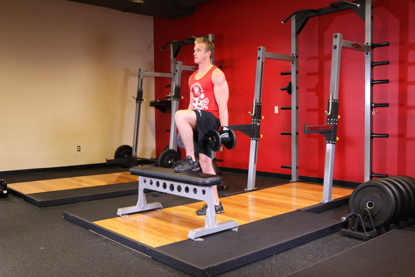 Dumbbell step-up: end position