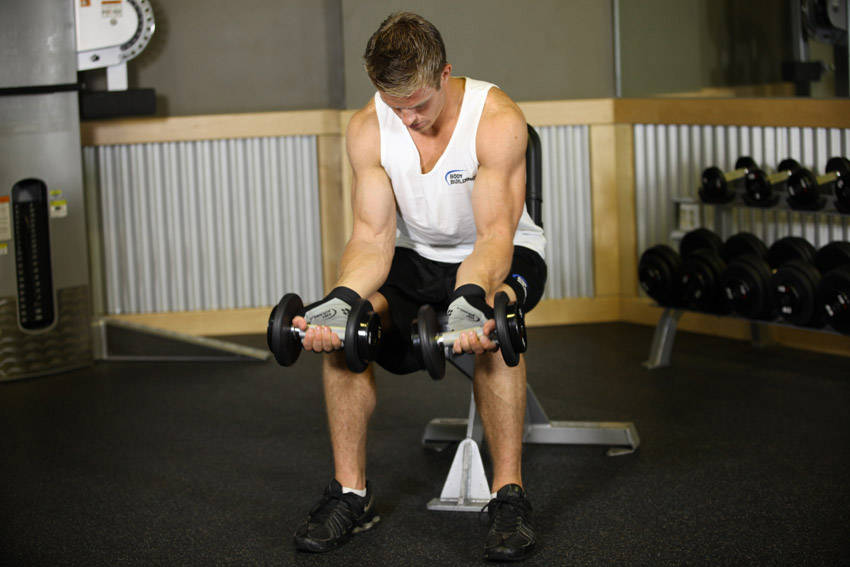 Wrist flexion & extension: start position
