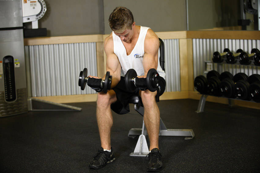 Wrist flexion & extension: end position