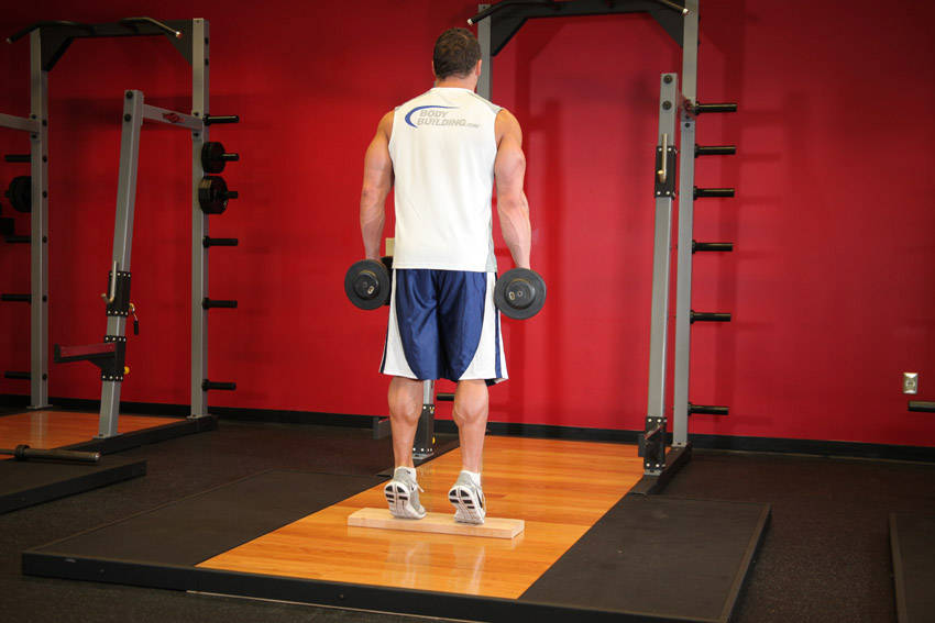 Loaded single-leg calf raise: end position
